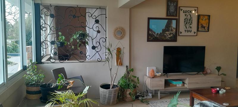 To Let 1 Bedroom Property for Rent in Newlands Western Cape